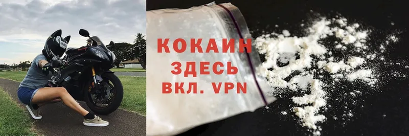 Cocaine FishScale  Камышин 