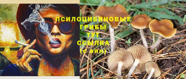 дурь Нязепетровск
