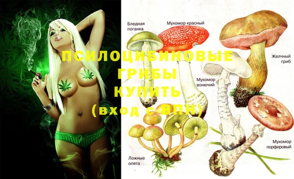 гидропоника Няндома