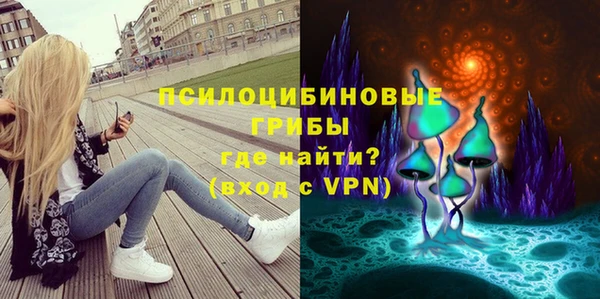 гидропоника Няндома
