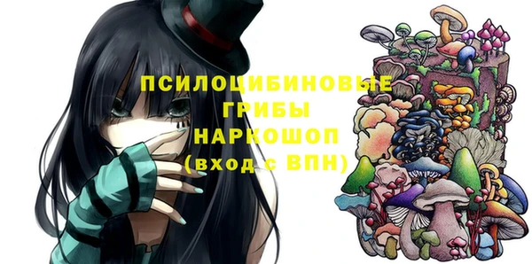 гидропоника Няндома