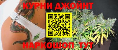 шишки Гагарин