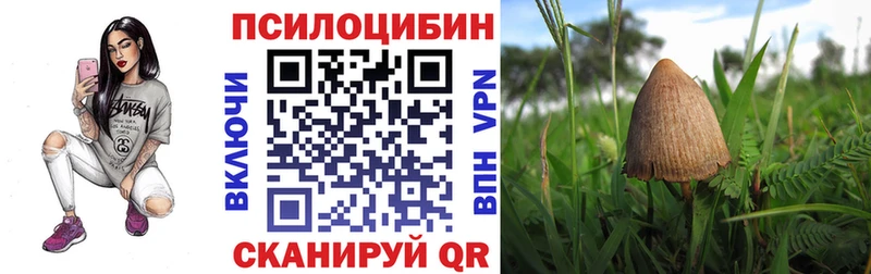 магазин наркотиков Камышин Галлюциногенные грибы MAGIC MUSHROOMS