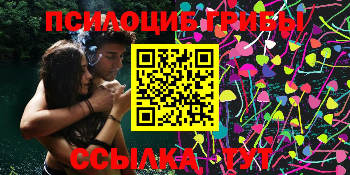 Галлюциногенные грибы прущие грибы  Камышин  где найти   Галлюциногенные грибы Psilocybe 