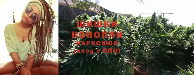 закладки  MEGA tor  Шишки марихуана White Widow  Камышин 