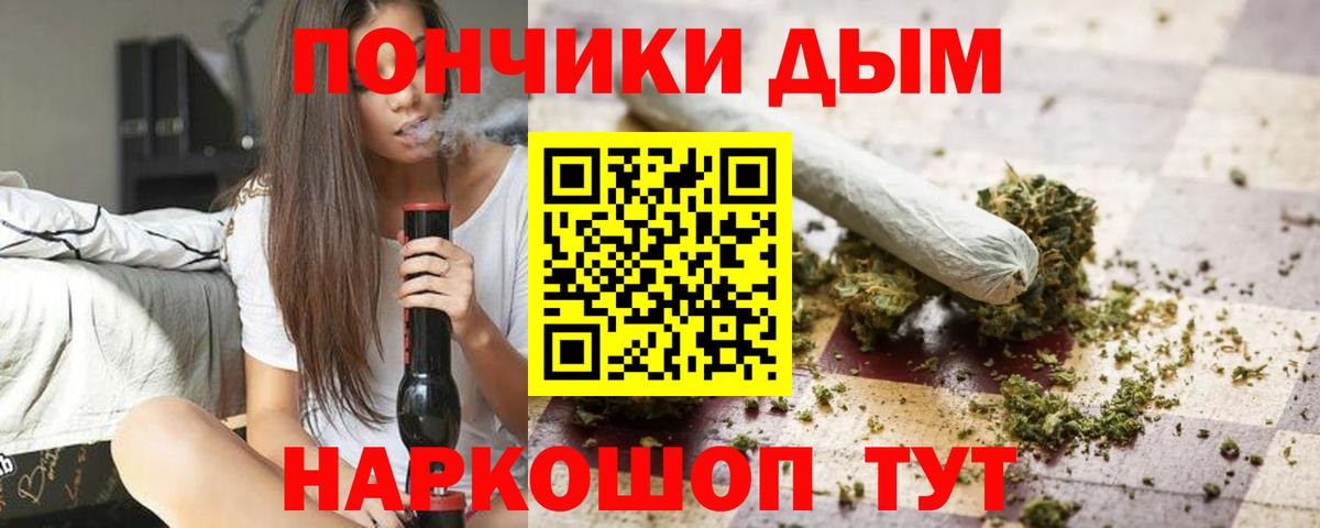 Каннабис индика Камышин
